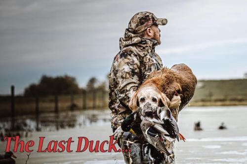 Last Duck