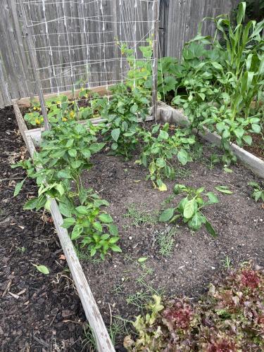 32E141E6-09EB-4B97-B23E-80141DBEEA32