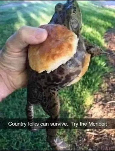 mcribbet