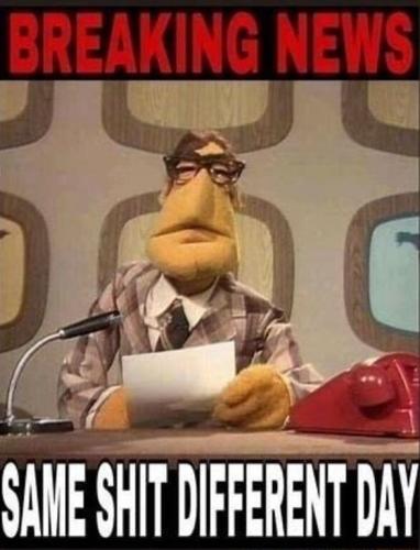 __88dade866fe2ab8a41dc3de9defebb33_width-600