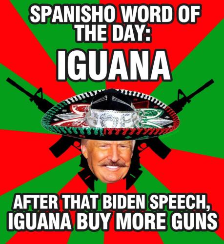 imagegun99