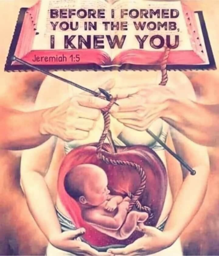 B6222CAE-B345-44DB-BDB3-BA423D19CDEF