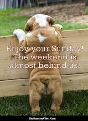 B1676BFF-1AD6-4E4C-AB8E-D5FE09CF8CE8