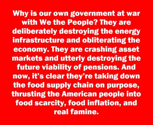 Our Government