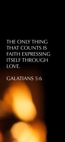 83B67200-F8A5-43F4-B4F2-B5ECFE36BC80