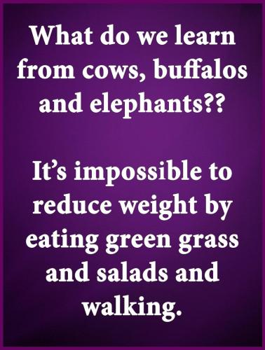 136EF88A-3DBA-4509-85CA-730A0F63FC99