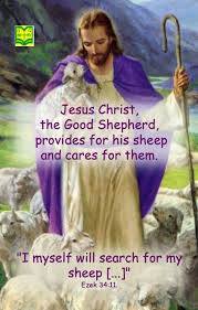 Searching for my sheep