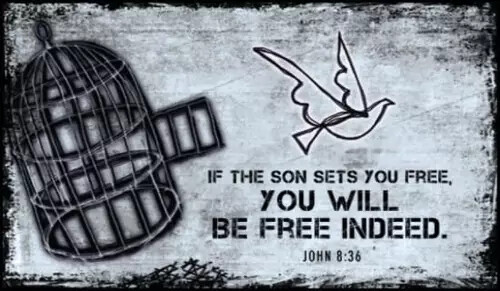 15166-set-free-800x400