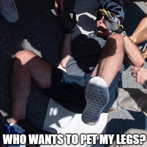 3C923EEF-8C6B-4ABA-8202-14E633027D96