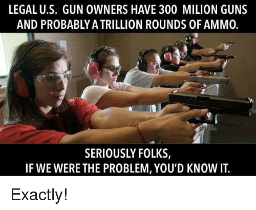 legal-u-s-gun-owners-have-300-milion-guns-and-probably-31334430