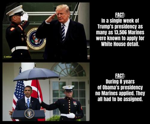 Marines