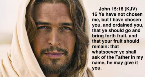 John 15.16