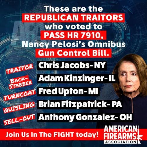 RINO-Traitors