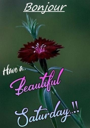 062522 - Beautiful Saturday
