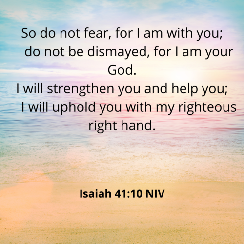 F6C8DF31D86919D1B273B6D8EE866F4A.isaiah4110-niv