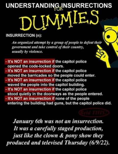 insurection for dummies