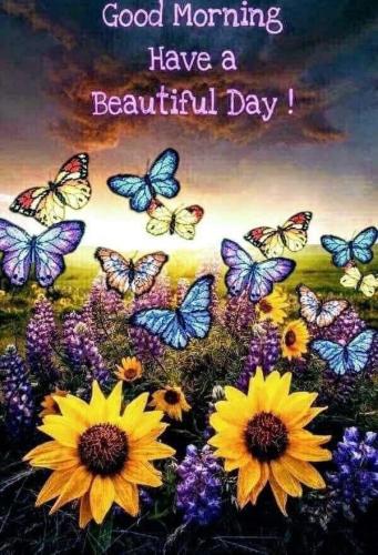 EDE31D3D-E847-43AC-A654-24DFCF2055D2