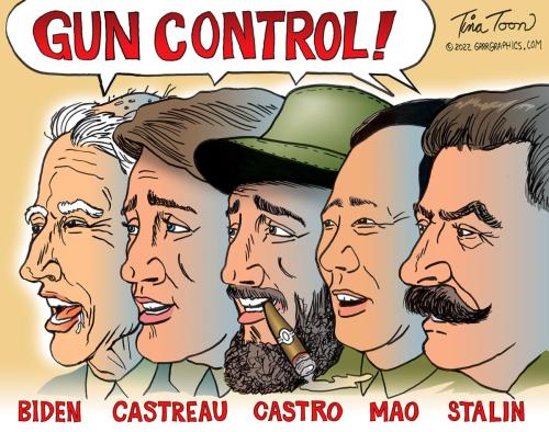 GunControl