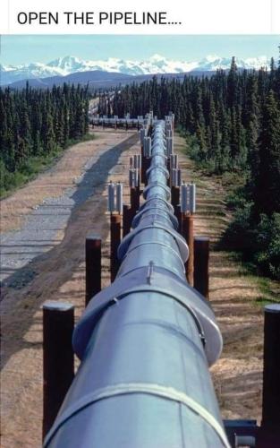 FB_IMG_1655421599008