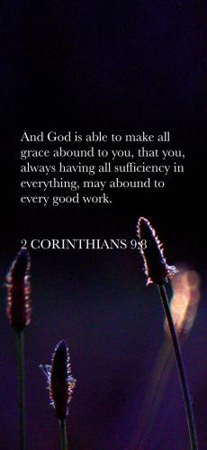 2C6AC41D-AEF1-42F1-B4CA-727A098F2619