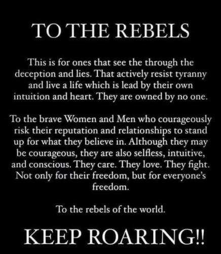 to the rebels