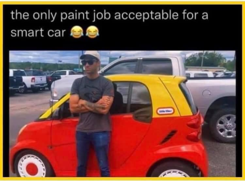 paint job for a smart car