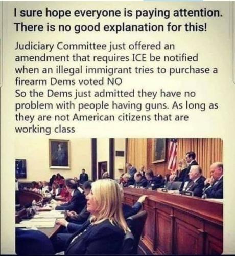 whatisthematterwiththeDems