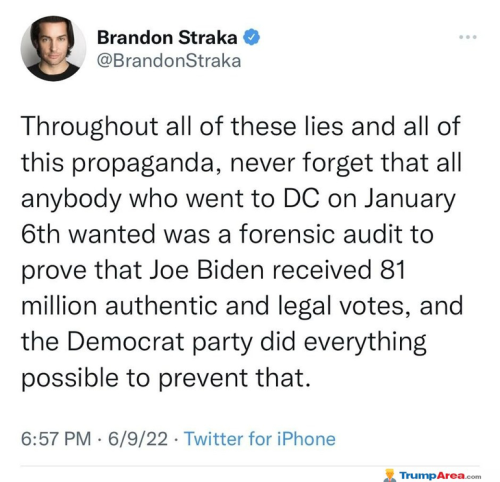 audit