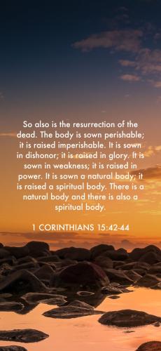 F9C5F13F-B322-4476-953A-408CA25C7F12