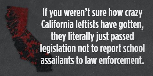 not report criminals