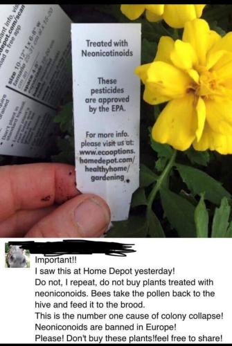 Pesticides - Neonicotinoids