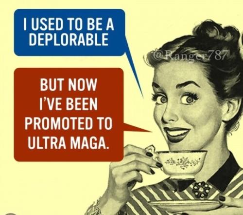 ultra maga now