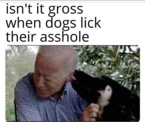 Assholes