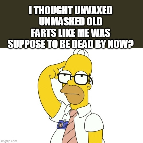 20b5740198258102
