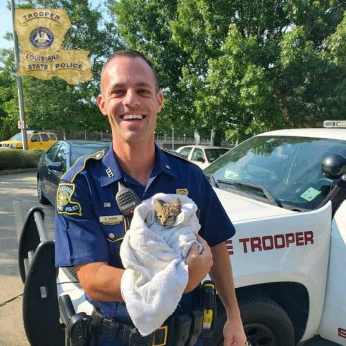 90BF3CD8-A82B-420F-B43F-2AB2808C4347