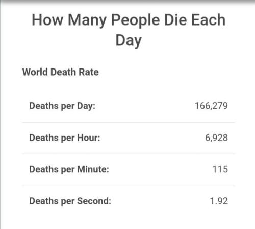 FB_IMG_1655774309489