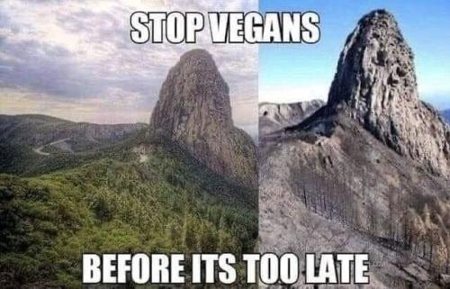 Vegans