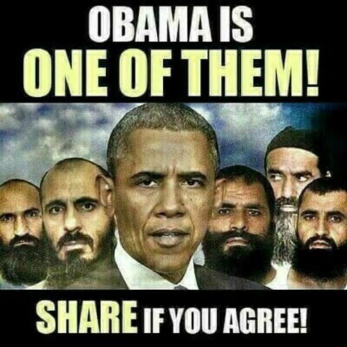 8a2d2187466844b8fd07c2a63b38d031_500x0