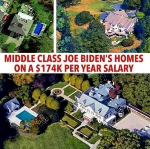 Bidens homes