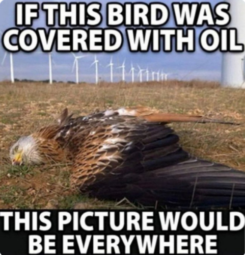 greenjokekilledmany