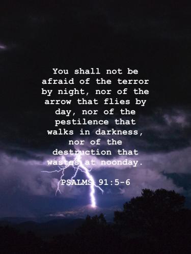 96882622-CF8F-4E51-AD5F-0124B871F293