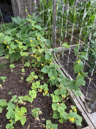 0759E000-EC26-43D3-8CF9-E613201C7DA3