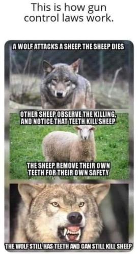 Gun Control