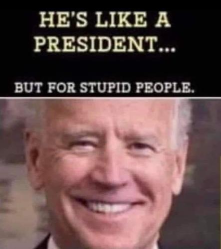 president for stupid people