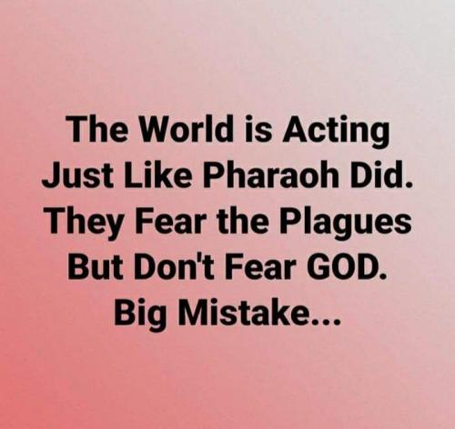 774c72db-aa95-402f-bd41-9d8cc5041735