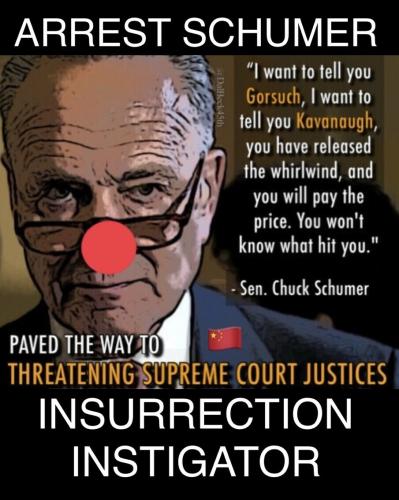 arrest schumer