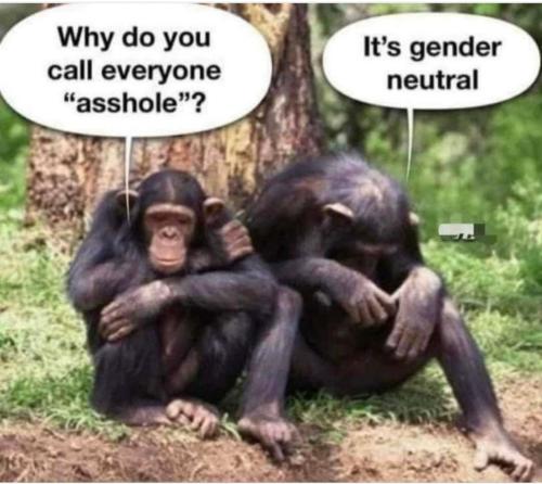 Screenshot_20220614-121518_Samsung Internet