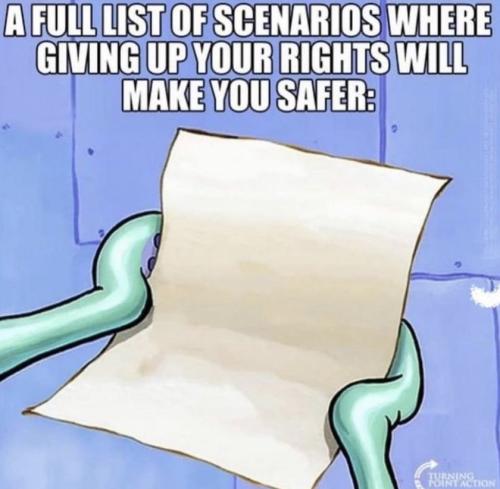 Constitution for the dummies