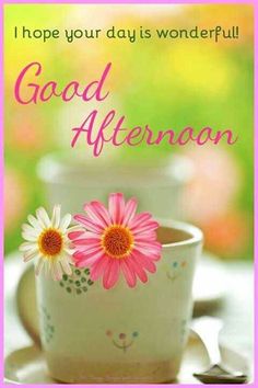 8eb500c85e4cdf5be531f3ce5c49278c