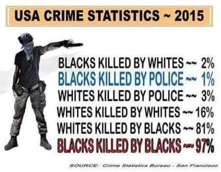 crime stats 2015